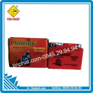 Ắc Quy Khô Phoenix 12V-4.5AH (TSM 1250S)
